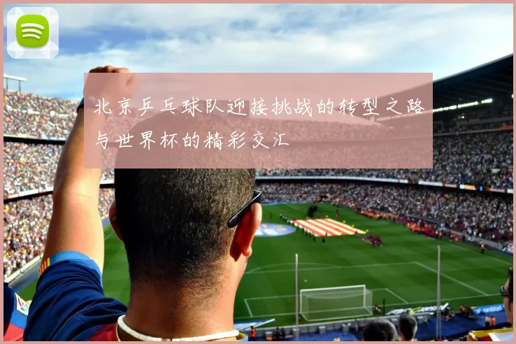 北京乒乓球队迎接挑战的转型之路与世界杯的精彩交汇