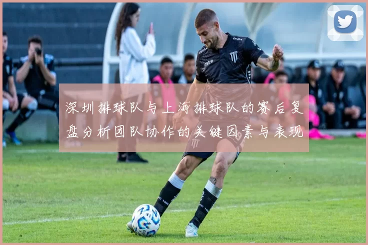 深圳排球队与上海排球队的赛后复盘分析团队协作的关键因素与表现