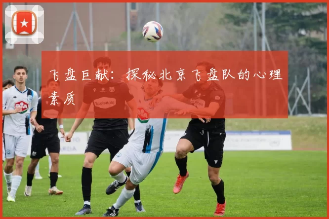 飞盘巨献：探秘北京飞盘队的心理素质